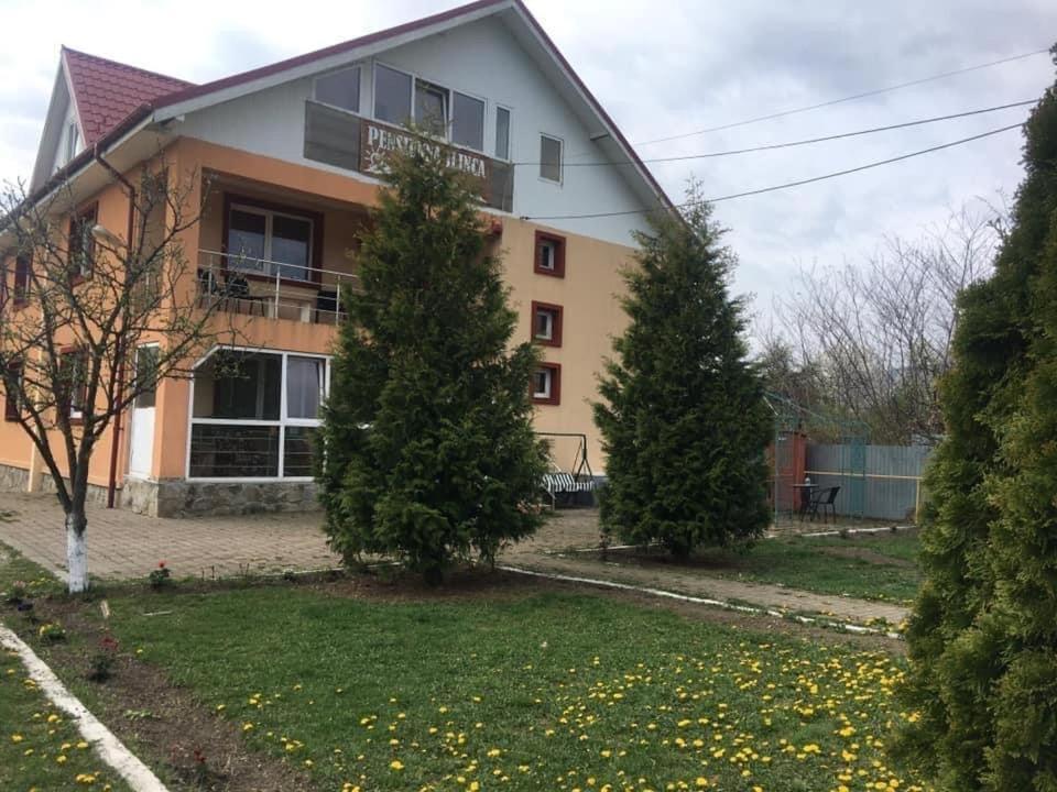 Cazare ieftina Villa Piatra Neamţ Exterior foto